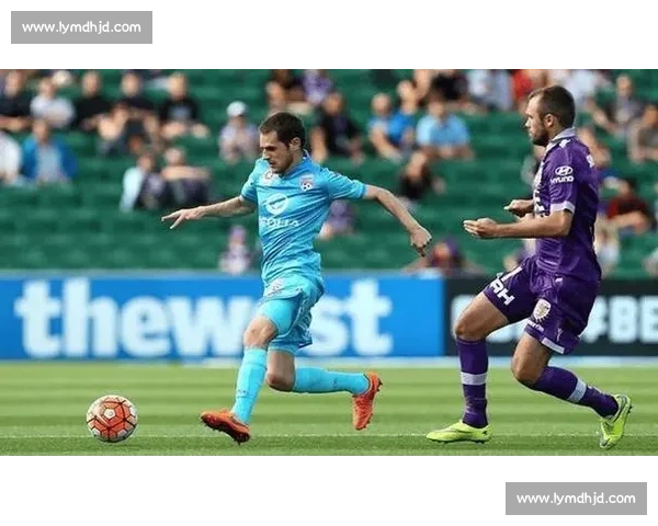 贝里vs维冈焦点对决解析主客走势与胜负关键前瞻战术博弈赛前看点